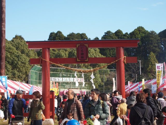 栗源いも祭り2017