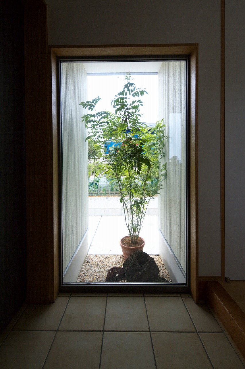 窓　玄関　家の中から見える植え込み