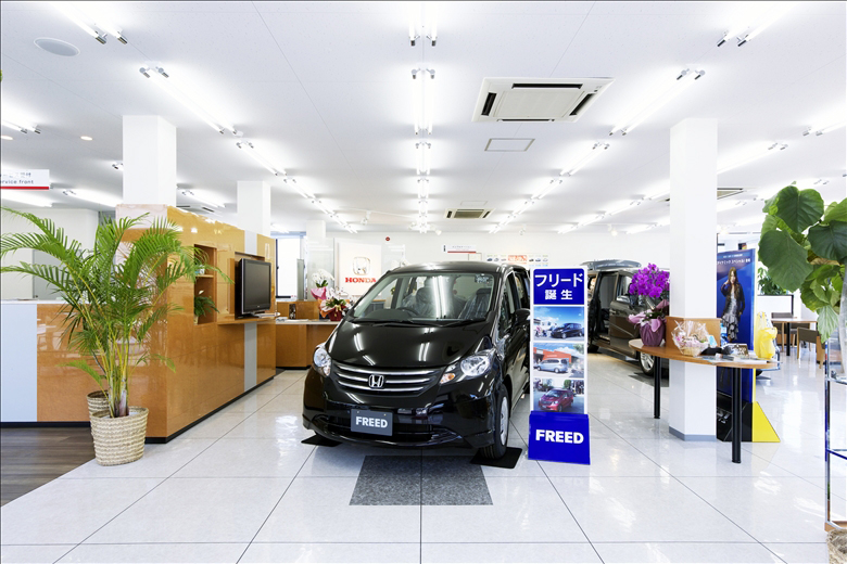 車の展示　インテリア　観葉植物